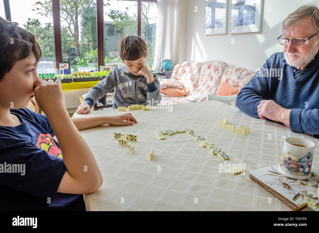 Zwei junge Brüder spielen ein Spiel der Domino auf einem Esstisch mit ihren Großvater. Stockfoto