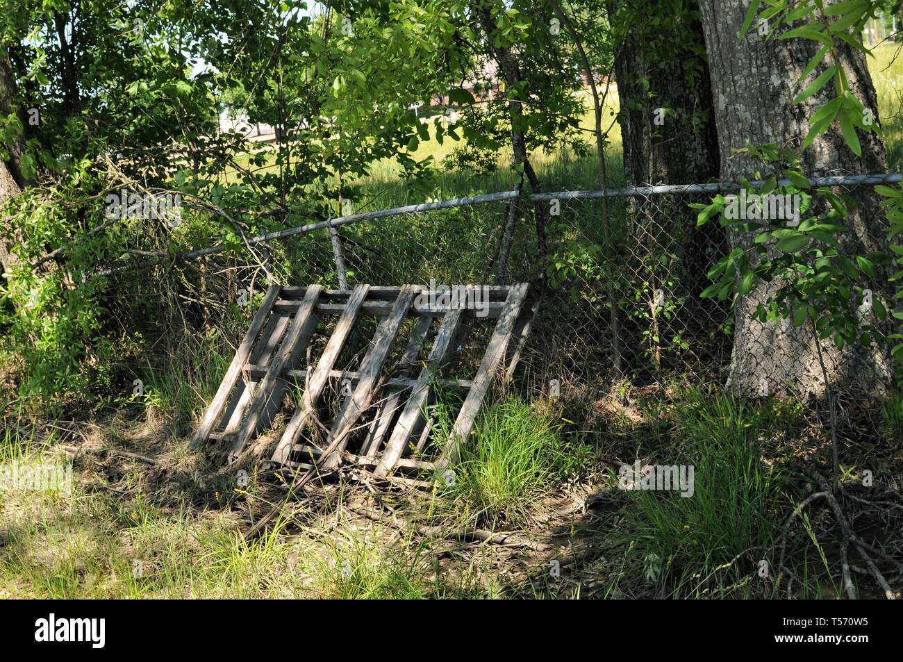 Alte verworfen Holzpalette zu verrotten, die von einem gebrochenen Zaun links. Stockfoto