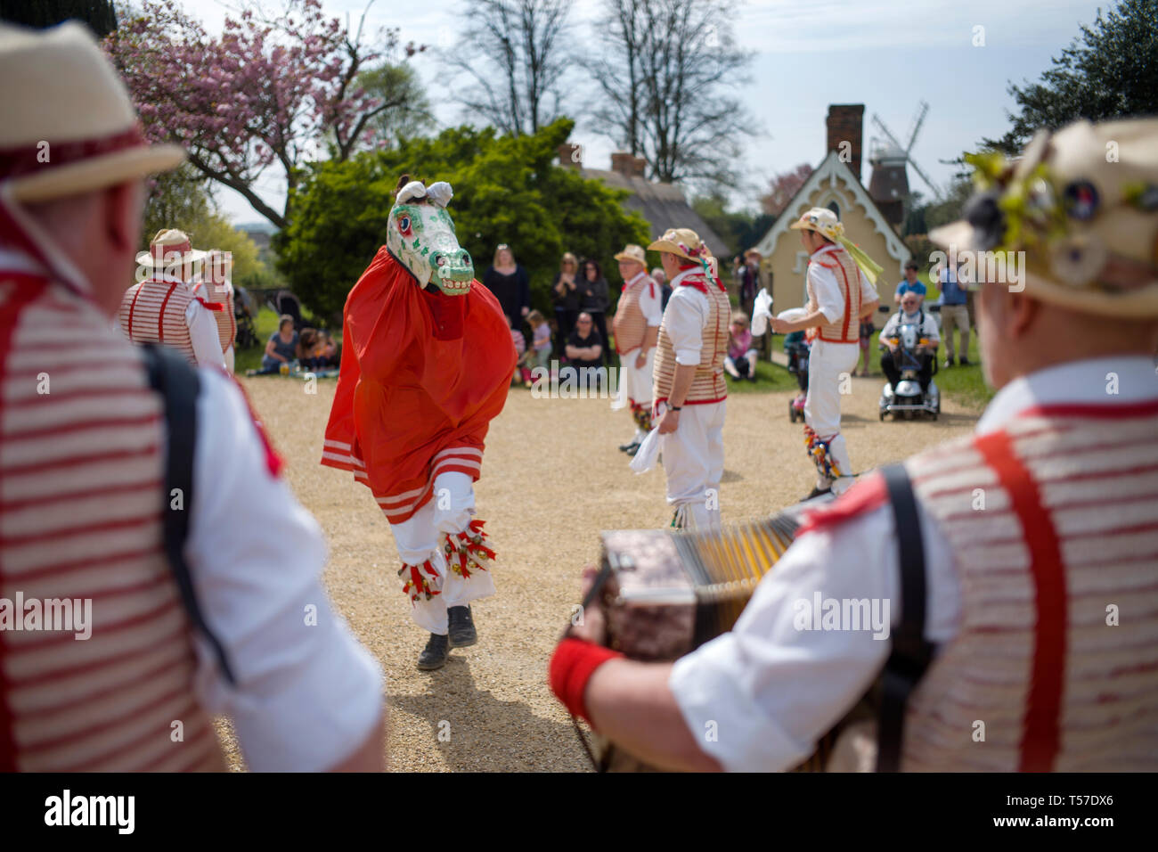 Thaxted Essex, England, Grossbritannien. 22 Apr, 2019. Schöne traditionelle Ostern Feiertag Montag Morris Tanzen in Thaxted Kirchhof. Thaxted Morris in Rot und Weiß und deren Hobby Horse, die Gelder sammelt von Zuschauer zusammen mit Gast Seite Devils Dyke Morris Seite von Cambridgeshire die Menschenmenge im sopring Sonnenschein unterhalten. Credit: Brian Harris/Alamy leben Nachrichten Stockfoto