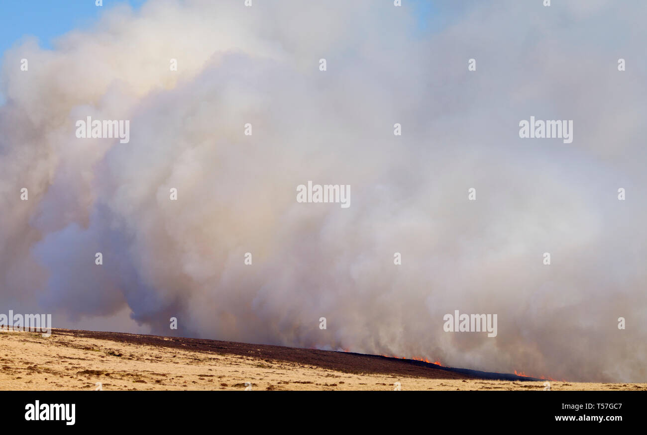 Marsden Moor Estate, Huddersfield, Großbritannien. 22. April 2019. Moorland Feuer in der Nähe von Wicking Grün auf Nähe Moos, eine in einer Reihe von Unseasonal Brände aufgrund der warmen, trockenen Wetter im Frühling. Credit: M Kyle/Alamy leben Nachrichten Stockfoto