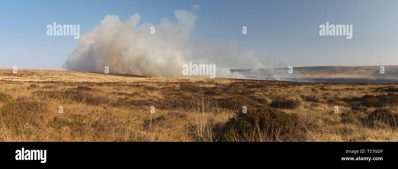 Marsden Moor Estate, Huddersfield, Großbritannien. 22. April 2019. Moorland Feuer in der Nähe von Wicking Grün auf Nähe Moos, eine in einer Reihe von Unseasonal Brände aufgrund der warmen, trockenen Wetter im Frühling. Credit: M Kyle/Alamy leben Nachrichten Stockfoto