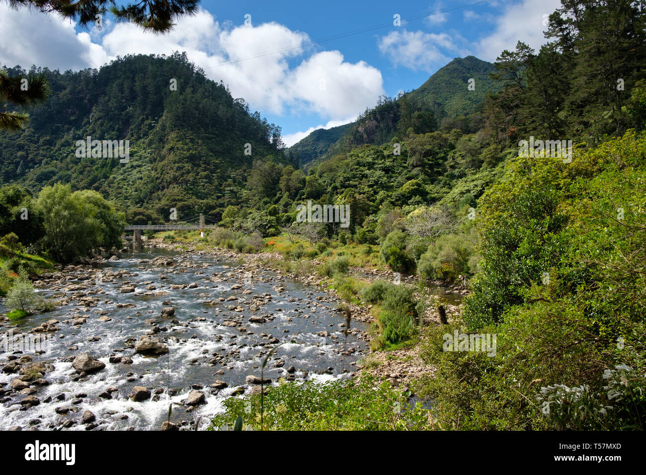 Karangahake Gorge Recreation Pfad auf dem Ohinemuri River, in der Nähe von Waihi, Bay of Plenty, North Island, Neuseeland Stockfoto