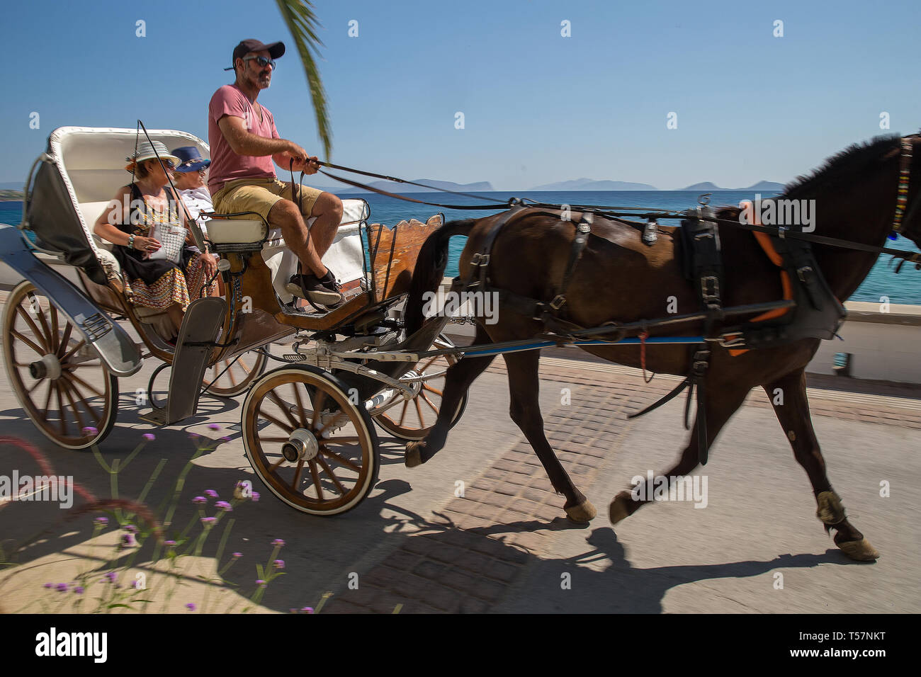 Kutschenfahrt - ist ein gutes gesundes Transport für Insel Spetses mit frischer Luft und Wasser. Wunderbar auf den griechischen Inseln. Stockfoto