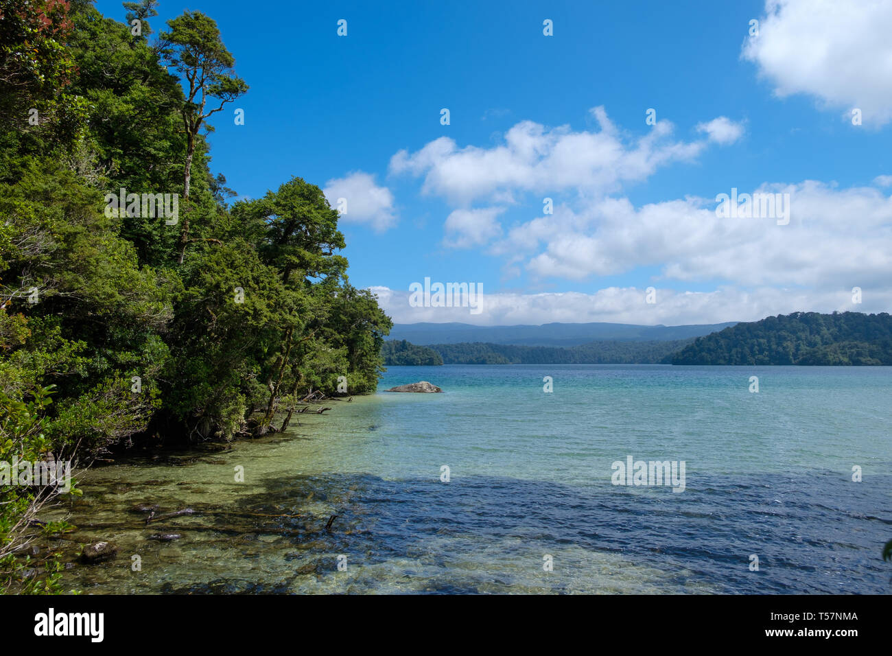Lake Waikareiti zu Te Urewera, Hawkes Bay Region, North Island, Neuseeland Stockfoto