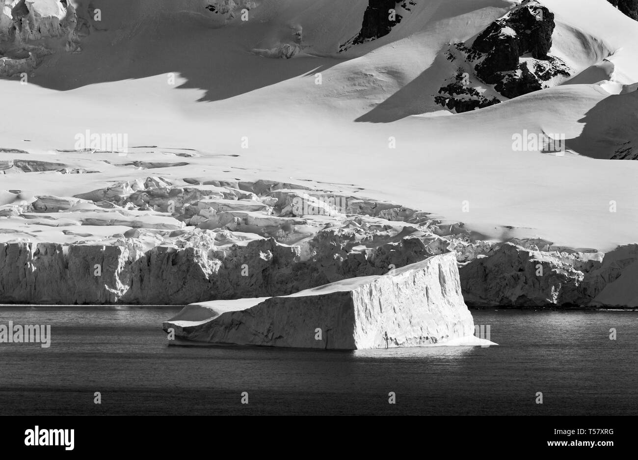 Ein schwimmender Eisberg in der Antarktis. Stockfoto