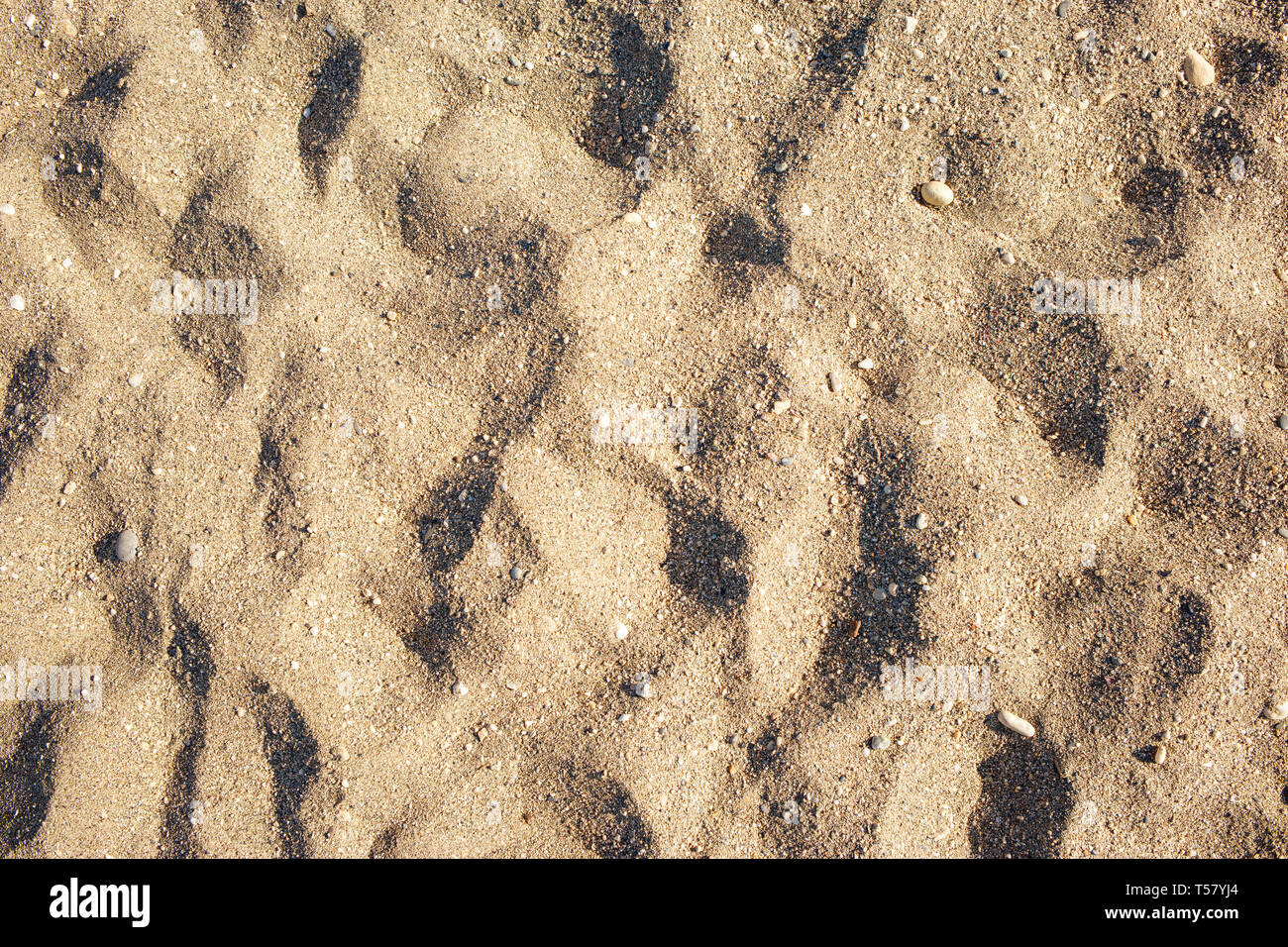 Sand und sandigen Trails in der Sommersonne. Sand Hintergrund. Stockfoto