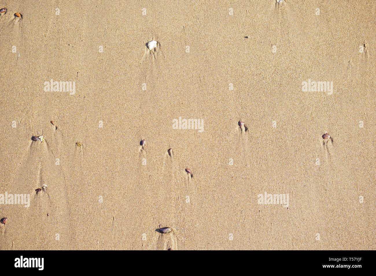Blick von oben auf die Küste, sauberen Sand Textur der natürlichen Oberfläche. Sand Hintergrund. Stockfoto
