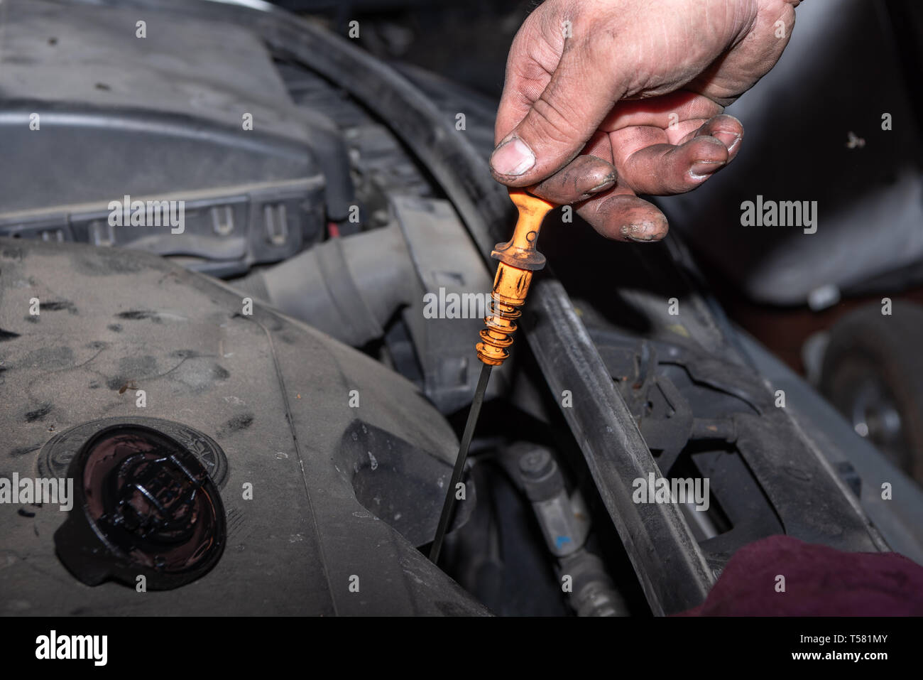 Mechaniker prüft den Ölstand im Auto in der Werkstatt Stockfoto