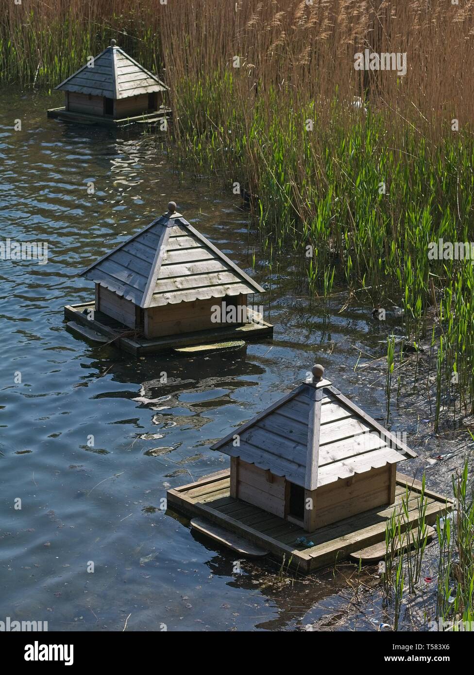 Schwimmendes entenhaus auf dem teich Fotos und Bildmaterial in hoher