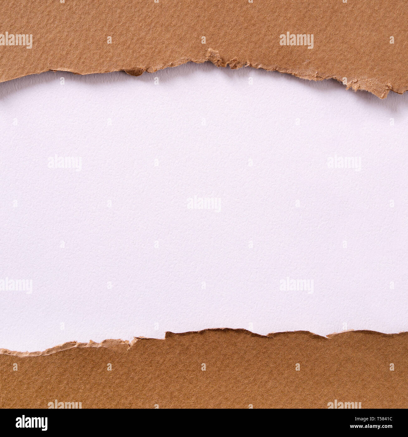 Zerrissen braunes Papier Center Strip weißer Hintergrund Stockfoto