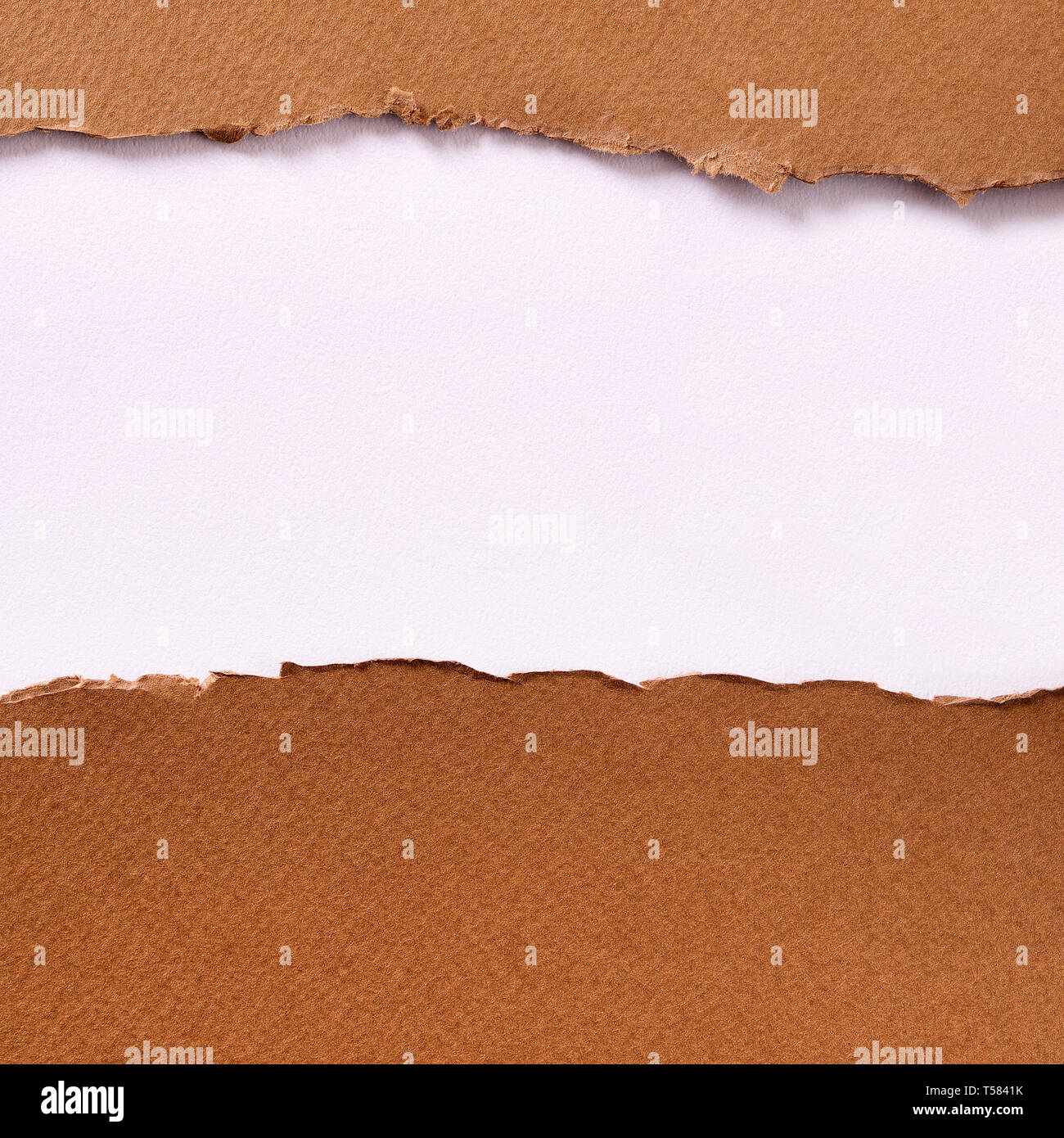 Zerrissen braune Streifen Papier weißer Hintergrund Stockfoto