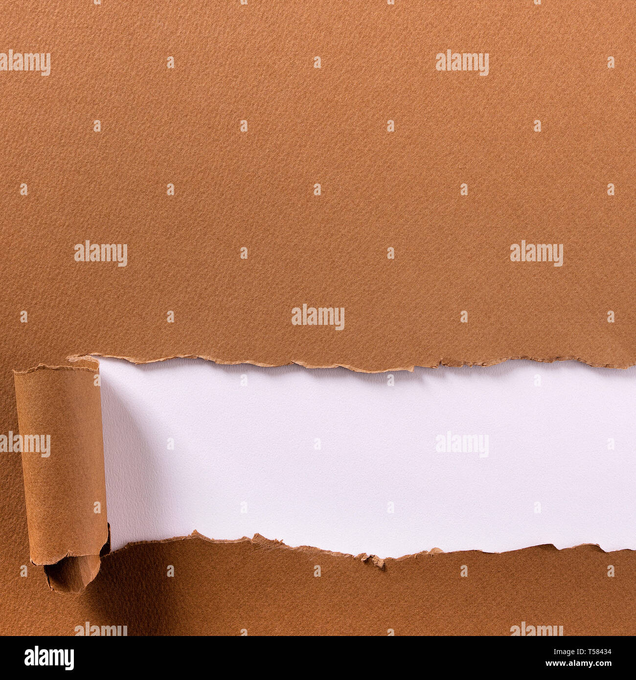 Zerrissen braunes Papier lange gerollt Unterkante Schneidwerkrahmen, weißer Hintergrund Stockfoto