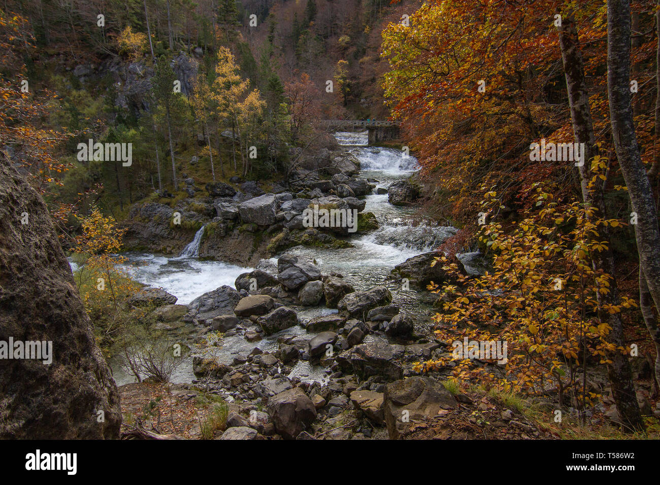 Auttum schönen Wald landschaft bei Ainsa, Huesca, Spanien Stockfoto
