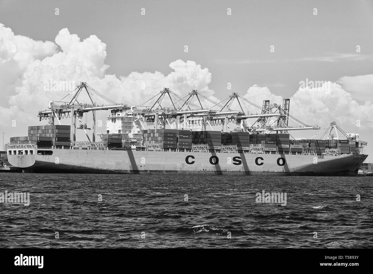 Schwarz-weiß Foto der COSCO Container schiff, COSCO YANTIAN, Be- und Entladen in der Long Beach Container Terminal, Kalifornien, USA. Stockfoto