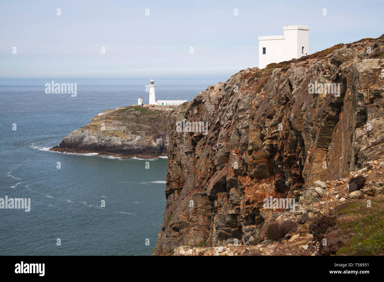 South Stack Lighthouse und ellin's Tower South Stack Klippen RSPB Reservat Holyhead ISLE OF ANGLESEY Wales UK April 2016 Stockfoto