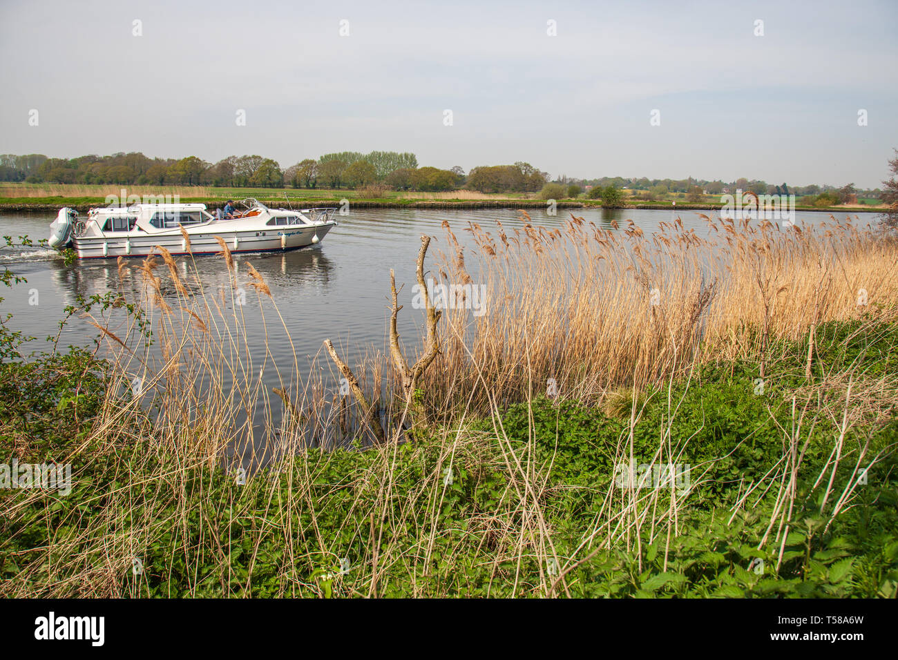 Anzeigen von Sportbooten auf dem River Yare an surlingham auf der Norfolk Broads Stockfoto
