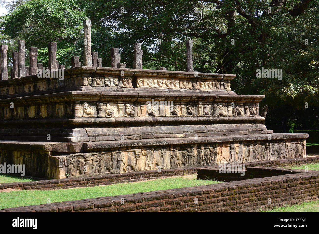 Rat der Kammer, Polonnaruva, Sri Lanka. Stockfoto