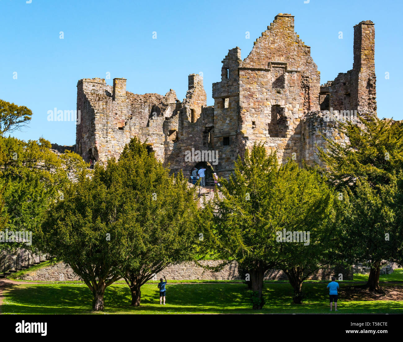 Mittelalterliche Ruinen aus dem 13. Jahrhundert Dirleton Castle Festung, beliebte Besucherattraktion, East Lothian, Schottland, Großbritannien mit blauer Himmel Stockfoto