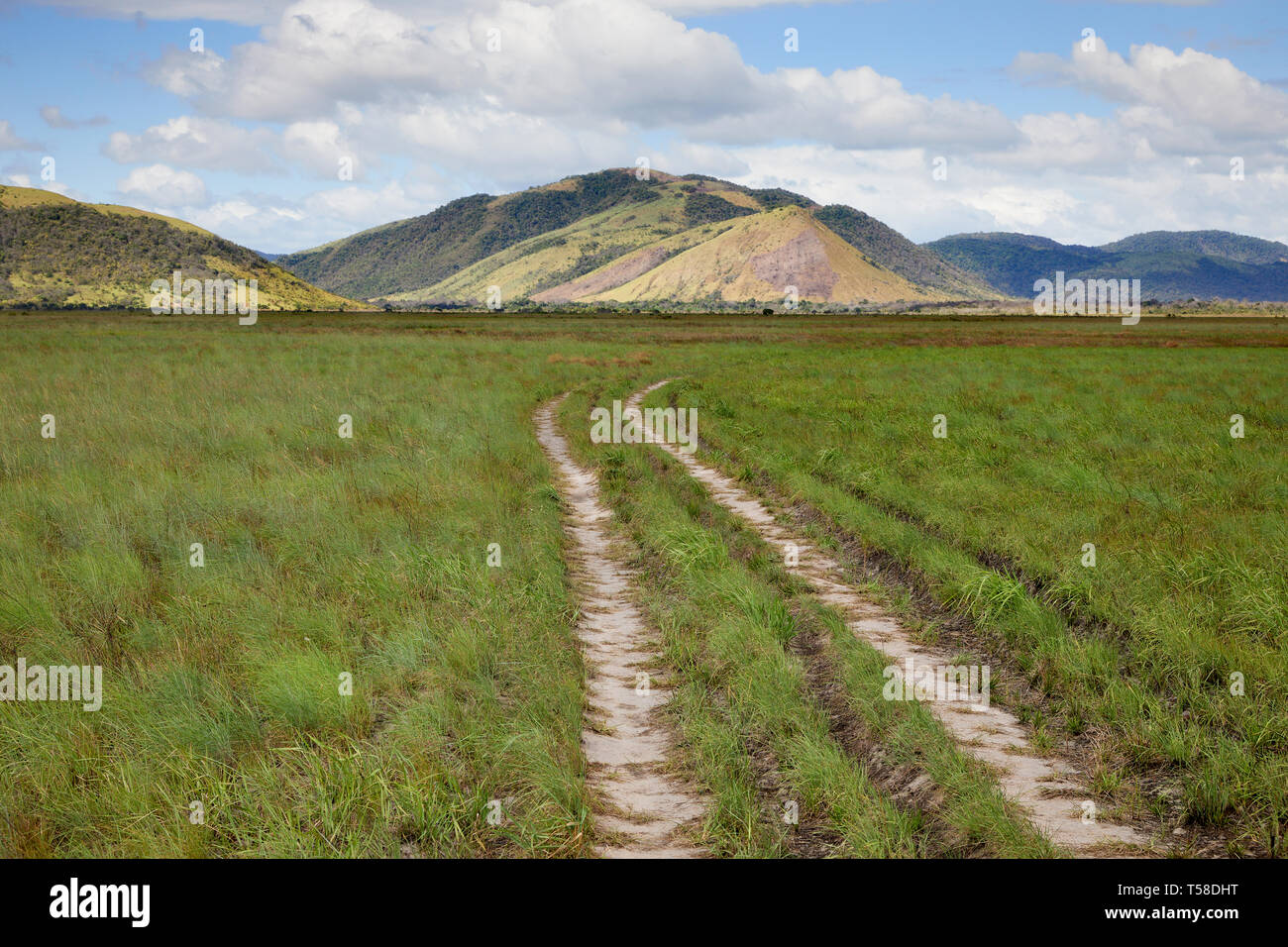 Dirt Road in der Rupununi Savanne mit Pacaraima Berge im Hintergrund in Guyana Südamerika Stockfoto