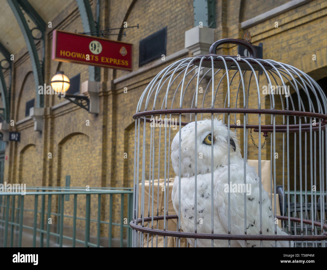 Eule auf 9 3/4 Plattform an der Kings Cross Station im Harry Potter Land, Universal Studios Theme Park in Orlando, Florida Stockfoto