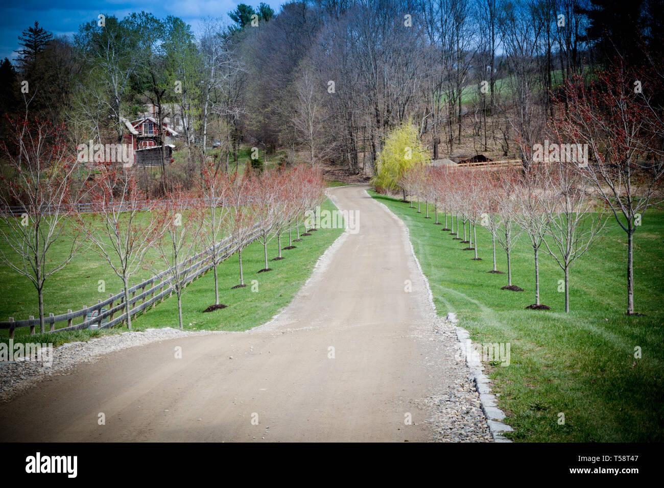 Juni Farm in New York Stockfoto