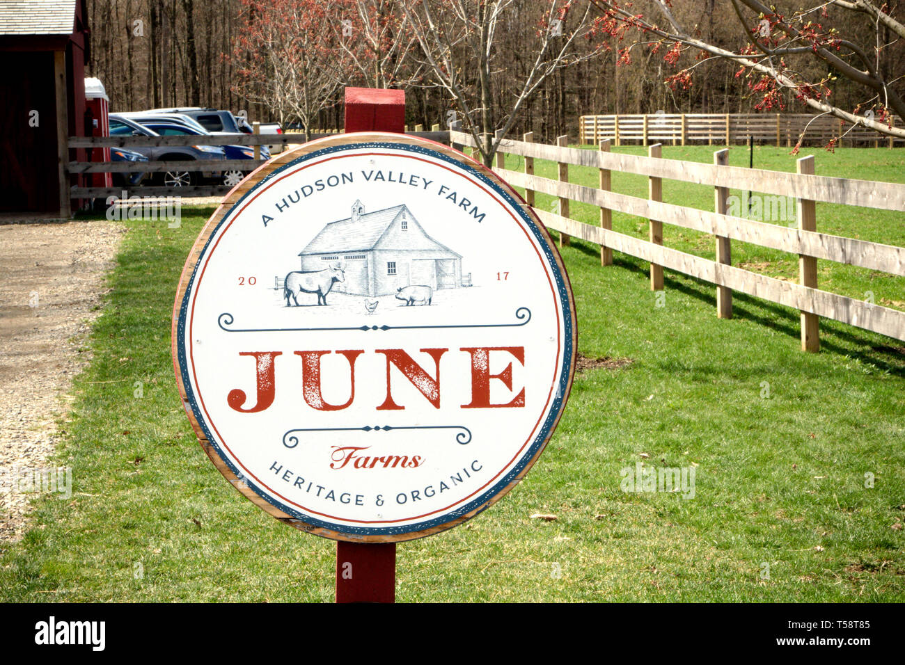 Juni Farm in New York Stockfoto