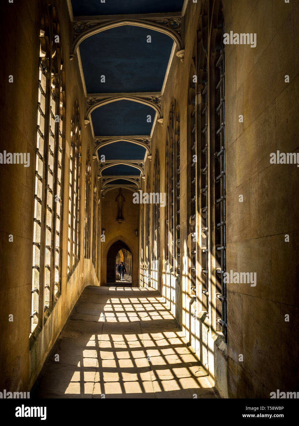 Eine Außenansicht des Seufzer-Brücke in St. Johns College in Cambridge, Teil der University of Cambridge. Benannt nach der berühmten venezianischen Brücke Stockfoto