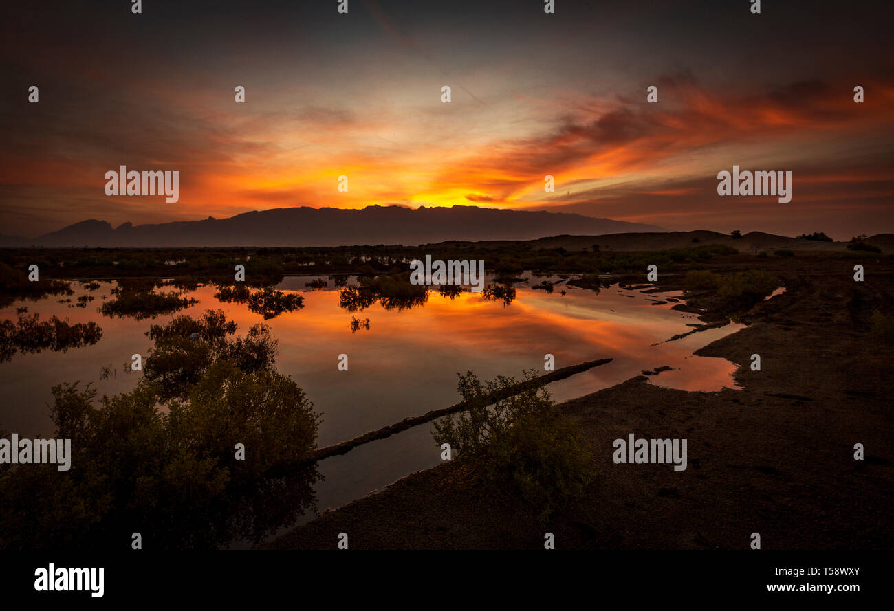 Ayn Al Fayda ist ein Ort in Al Ain, in dem die Kombination von Wüste und felsigen Bergen und grünen Vororten. Ein interessanter Ort für einen Sonnenaufgang zu gehen Stockfoto