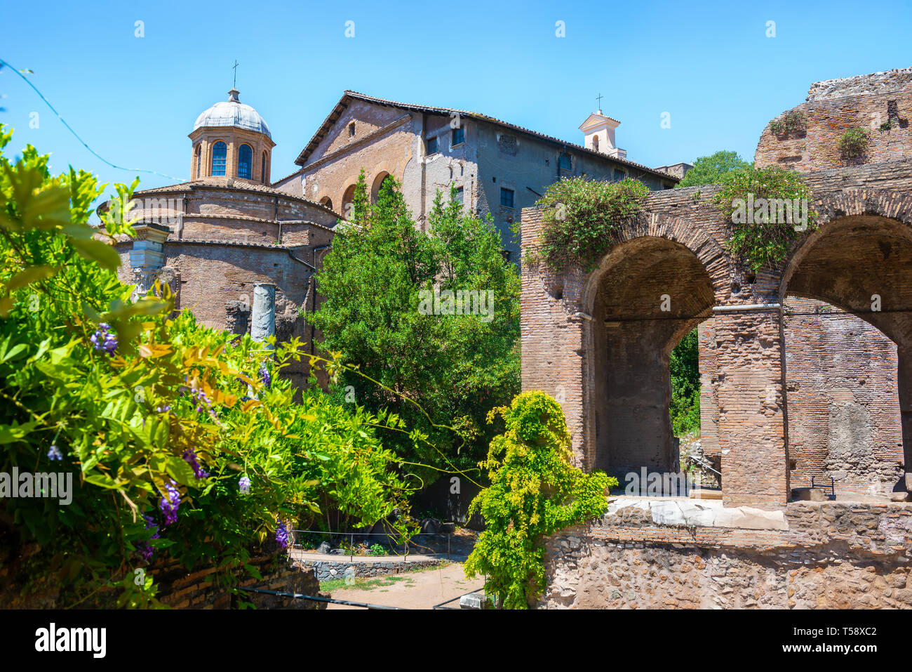 Ruinen des Forum Romanum im Sommer, Italien Stockfoto