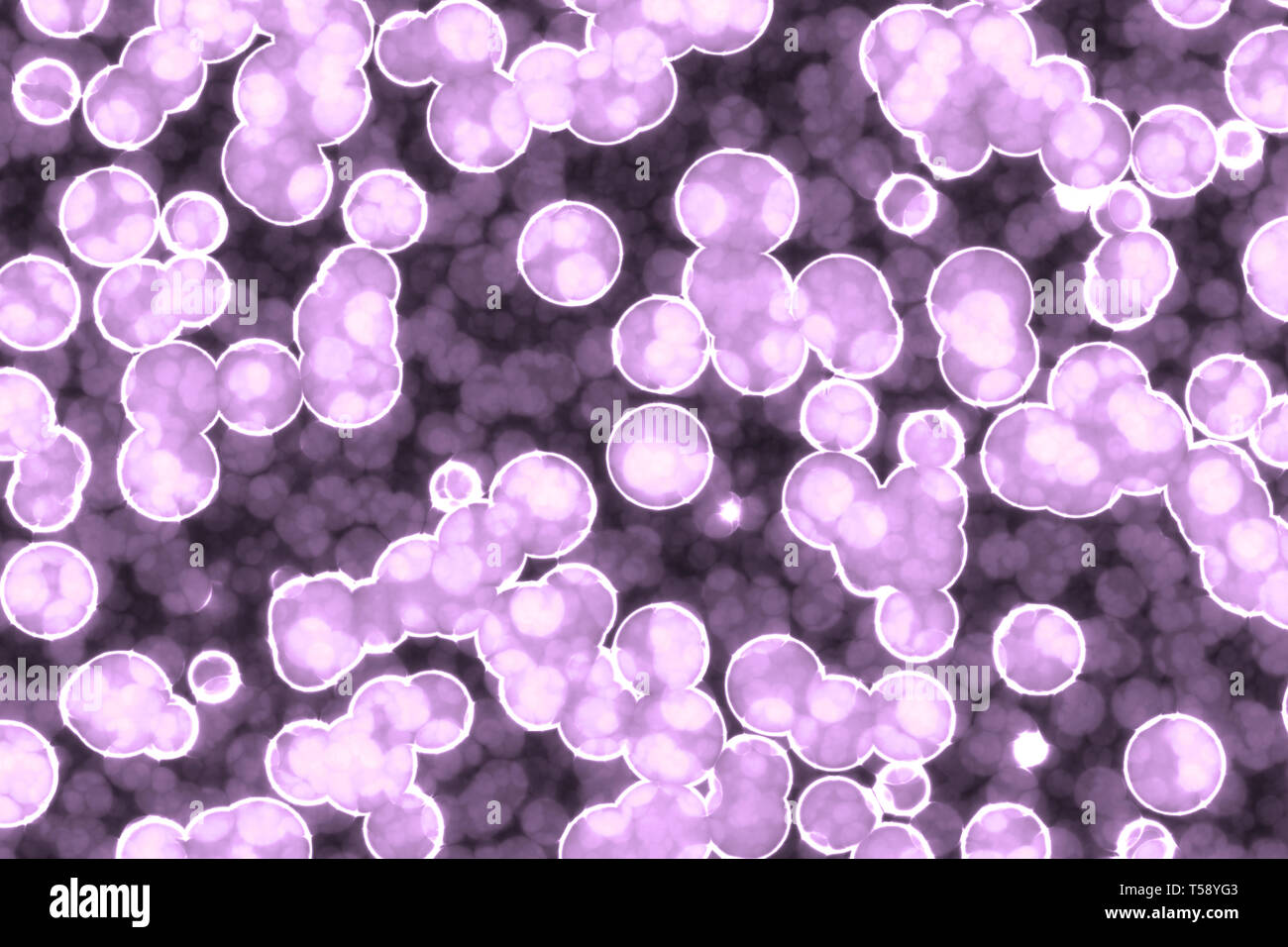 Form der bakteriellen Zelle: Kokken, Bazillen, spirillen Bakterien Hintergrund Stockfoto