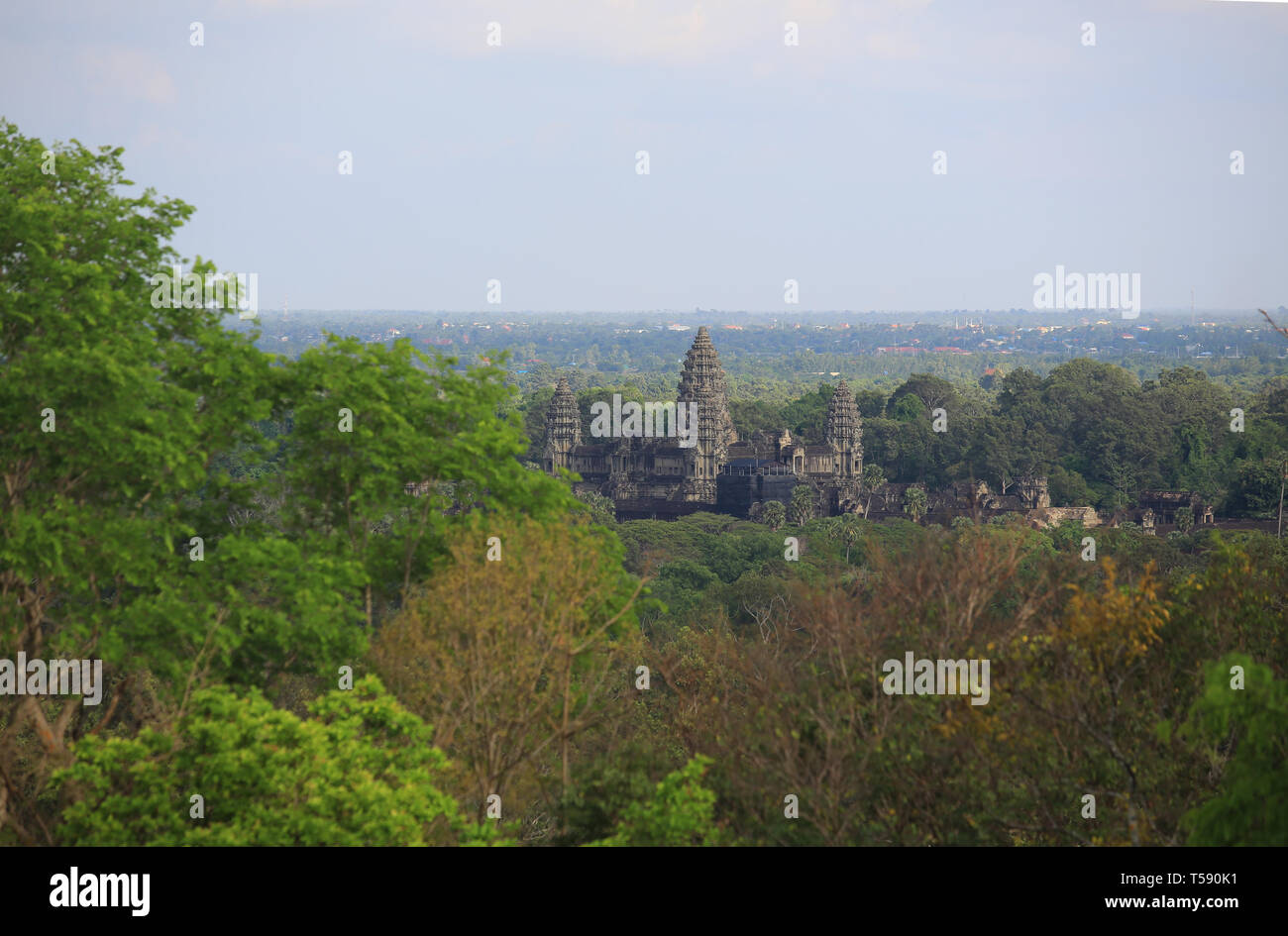 Angkor Wat im Wald Stockfoto