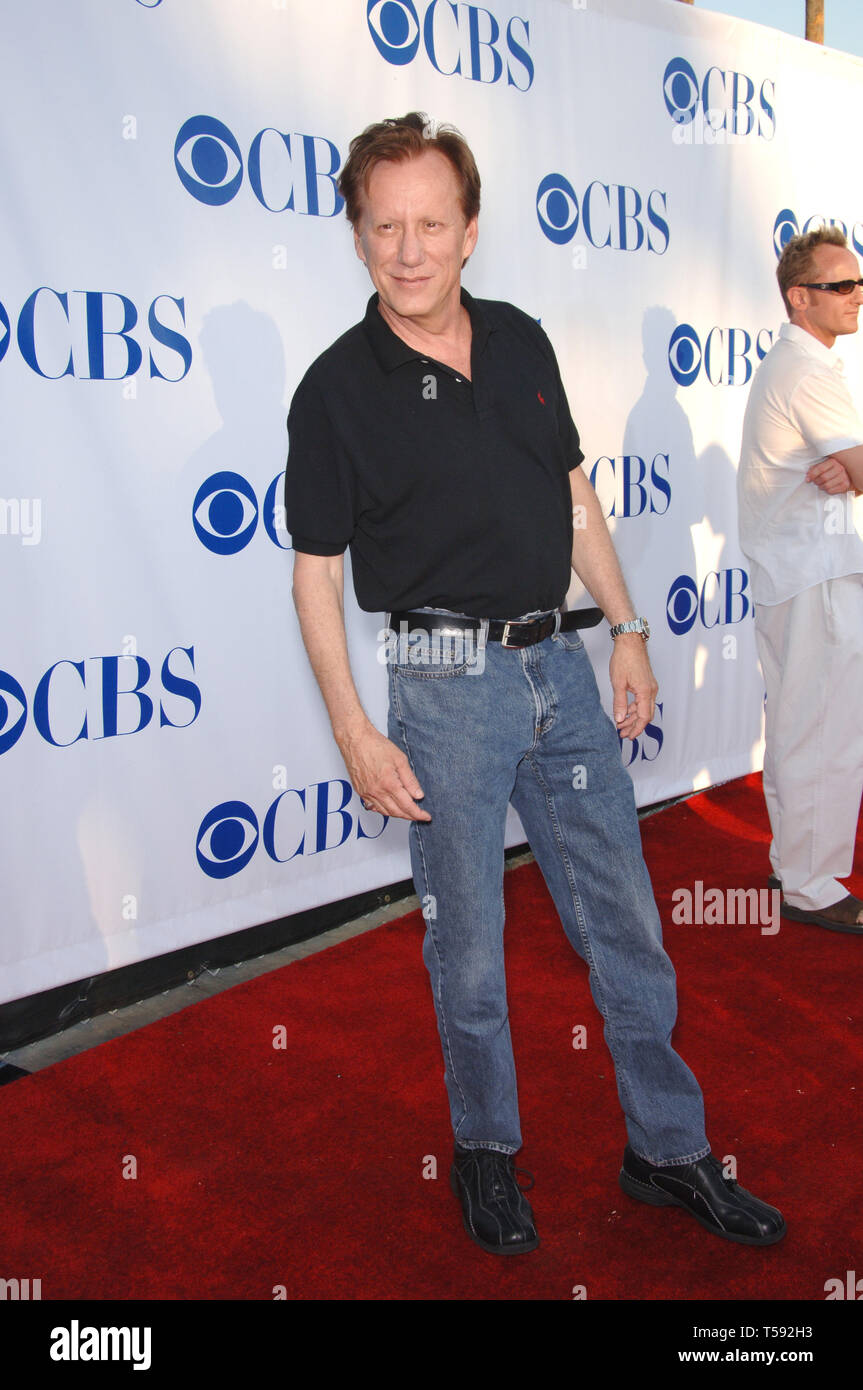 LOS ANGELES, Ca. 16. Juli 2006: Shark Stern James Woods an der CBS Sommer Presse Tour Stars Party im Rose Bowl in Pasadena, CA. © 2006 Paul Smith/Featureflash Stockfoto