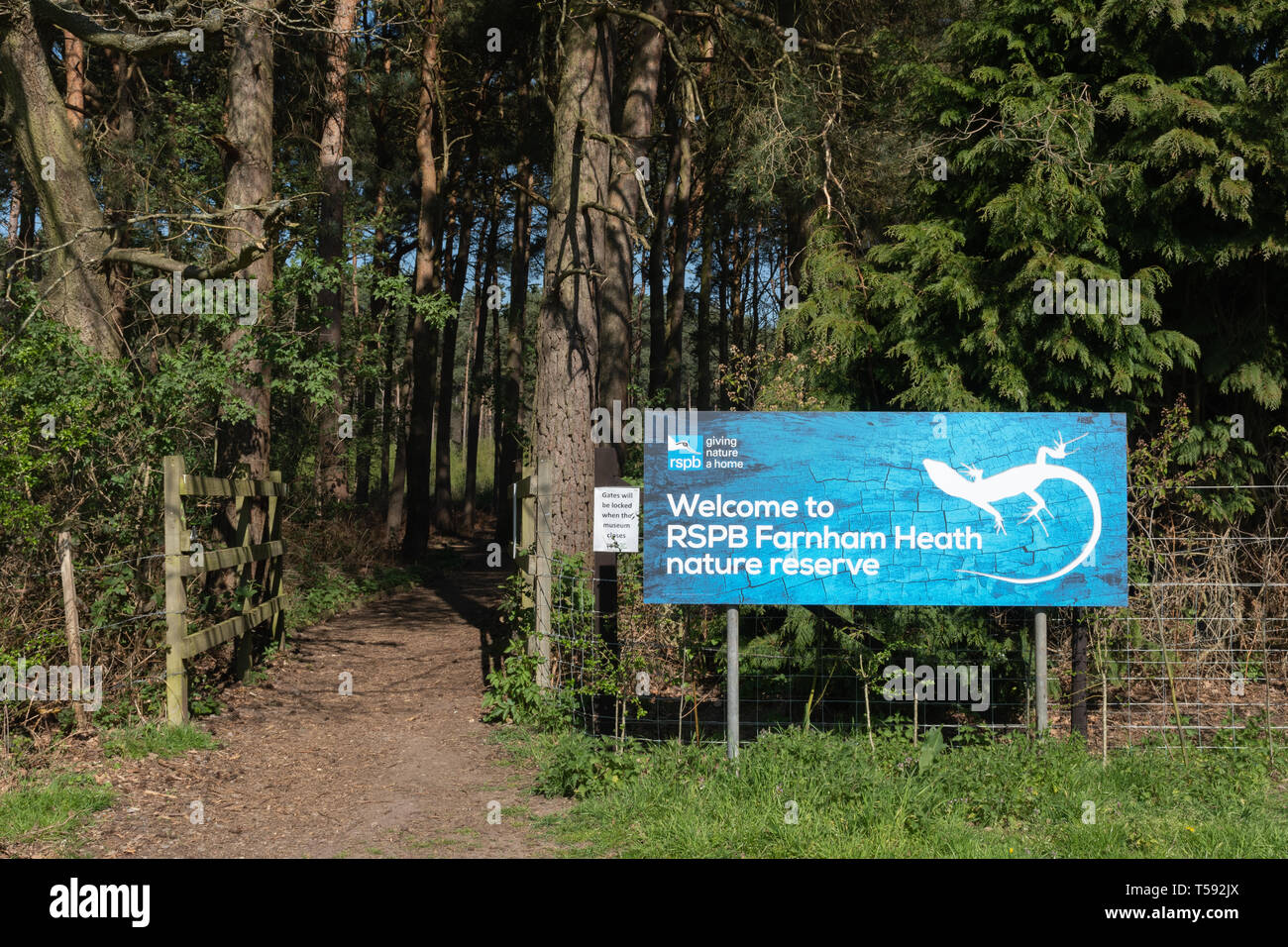 Unterschreiben Sie bei RSPB Farnham Heide in Surrey, Großbritannien Stockfoto