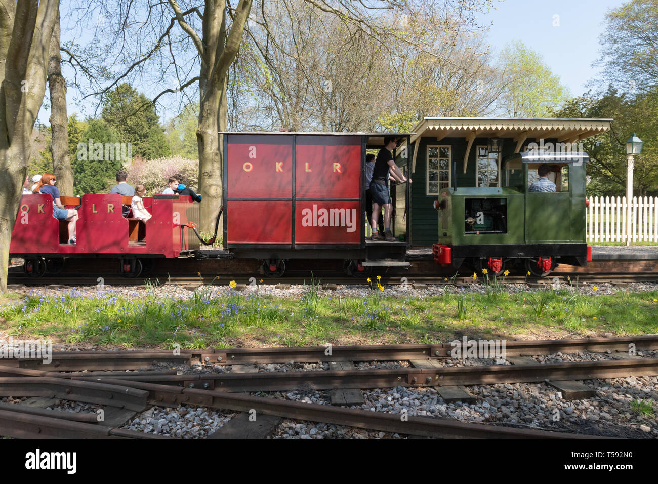 Mit dem Zug auf der Alten Brennofen Light Railway, einer Schmalspurbahn im ländlichen Lebens Center, Tilford, Surrey, Großbritannien Stockfoto