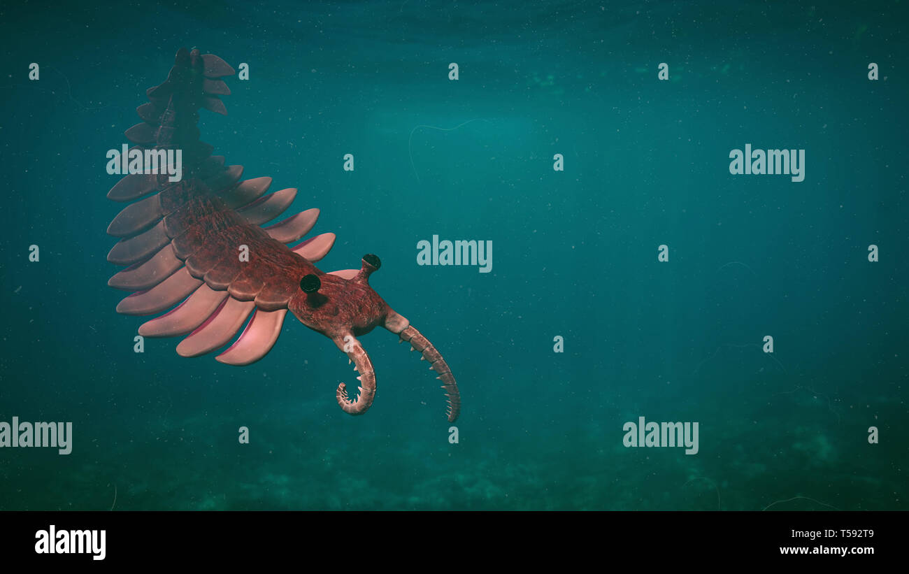 Anomalocaris, Kreatur der kambrischen Periode (3 d paleoart Abbildung) Stockfoto