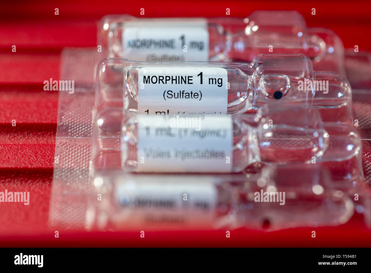 Nahaufnahme der 1 mg/ml-Durchstechflasche Morphin-Sulfat zur Injektion oder Infusion vor rotem Hintergrund. Ideal für medizinische Konzeptblogs oder Artikel Stockfoto