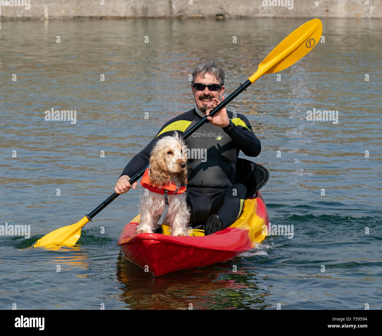 Dies ist EIGG der Coker Spaniel mit har Vati, Kajak an Sandend in Aberdeenshire, Schottland am Samstag, 20. April 2019. Stockfoto