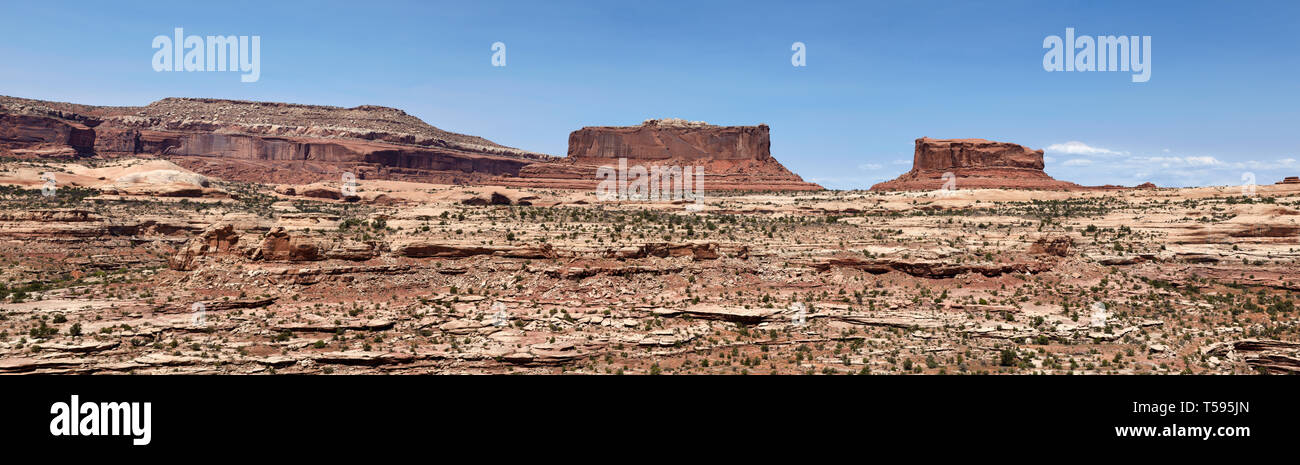 Big Mesa Aussichtspunkt in der Nähe von Canyonlands, Utah, Amerika. Stockfoto