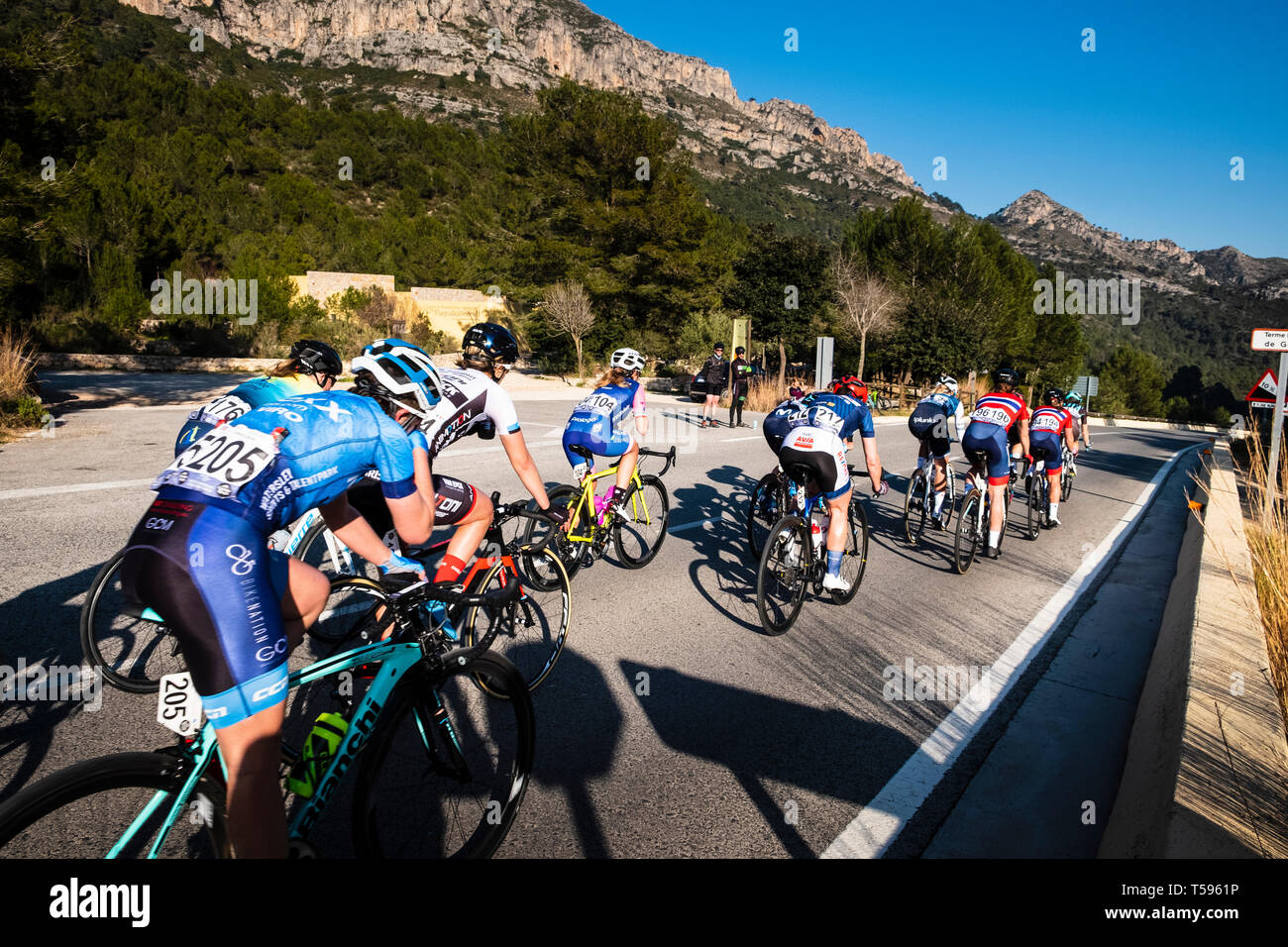 Woman's Radrennen durch die La Safor Berge in der Nähe von Gandia Spanien Stockfoto