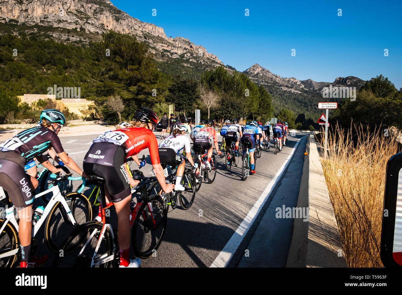 Woman's Radrennen durch die La Safor Berge in der Nähe von Gandia Spanien Stockfoto