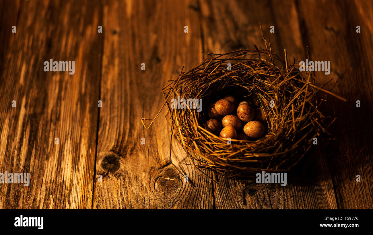 Bird's Nest kopieren - Raum Hintergrund design Stockfoto