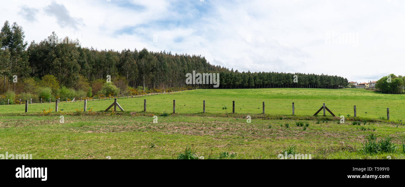 Landwirtschaft Bauernhof Feld Zaun breites Panorama Landschaft auf Frühling Stockfoto