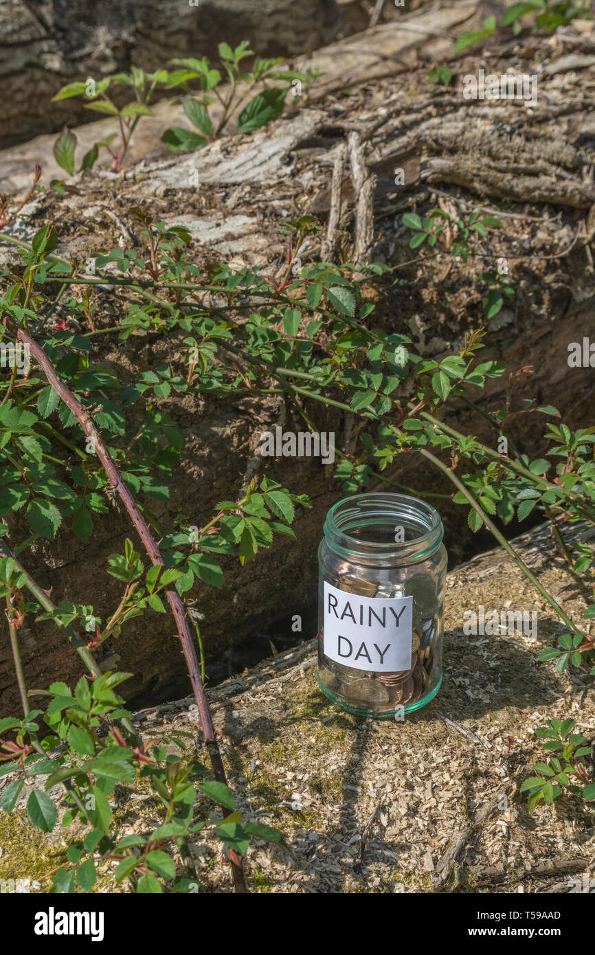 Geld jar/regnerischen Tag Einsparungen jar im Freien bei Sonnenschein. Metapher persönlichen Ersparnissen, Geld sparen, Vorsorge, Altersvorsorge, Speichern pot Stockfoto