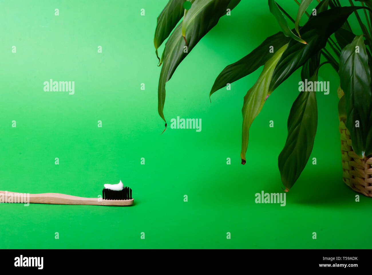 Abgewinkelte Ansicht eines Bambus Zahnbürste und grüne Blätter einer Pflanze auf grünem Hintergrund mit Kopie Raum Stockfoto