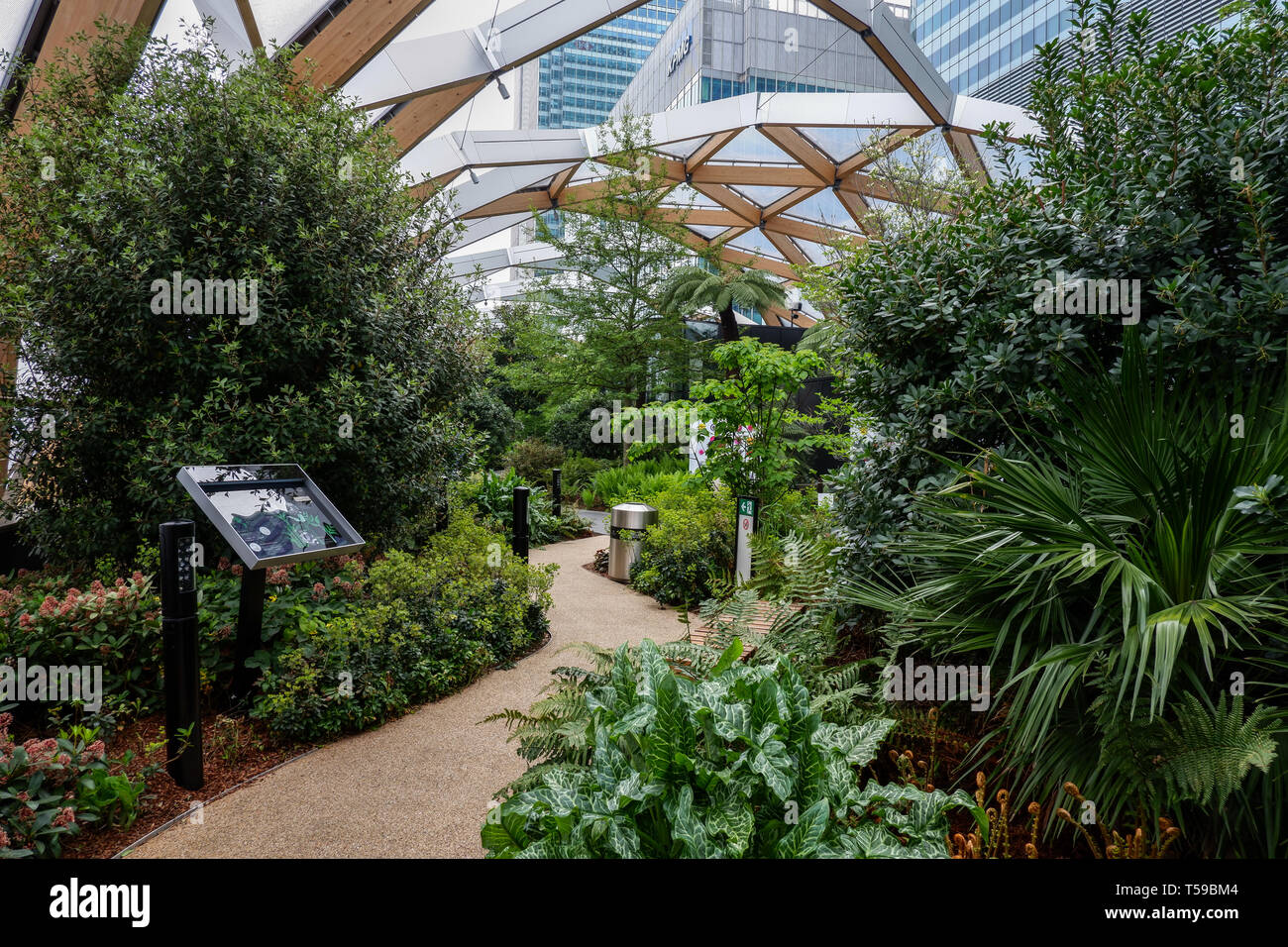 Crossrail, Dachgarten, Canary Wharf, London Stockfoto