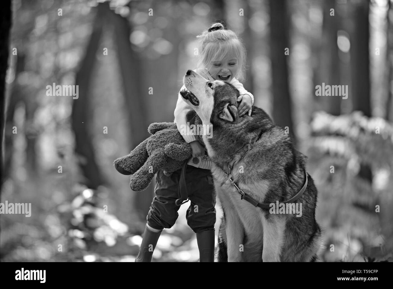 Mädchen mit Hund im Herbst Wald. Mädchen spielen mit Husky und Teddybär auf frische Luft im Freien Stockfoto