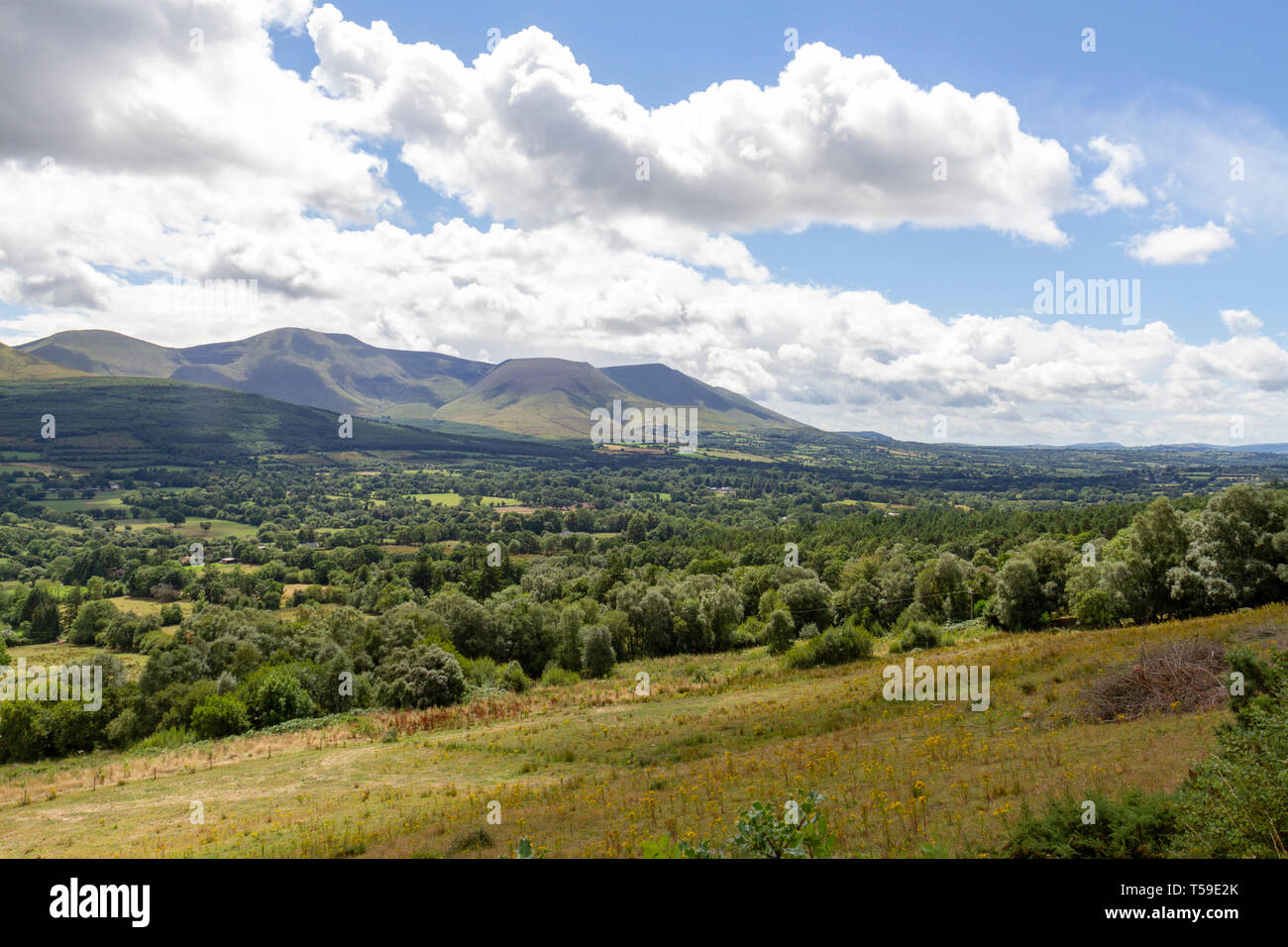 Die atemberaubenden Glen von Aherlow, County Tipperary, Irland. Stockfoto