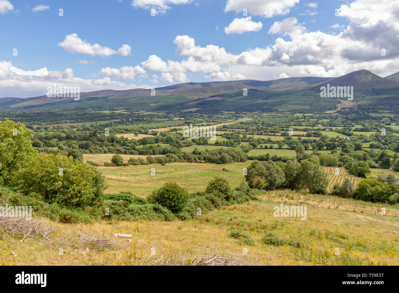 Die atemberaubenden Glen von Aherlow, County Tipperary, Irland. Stockfoto