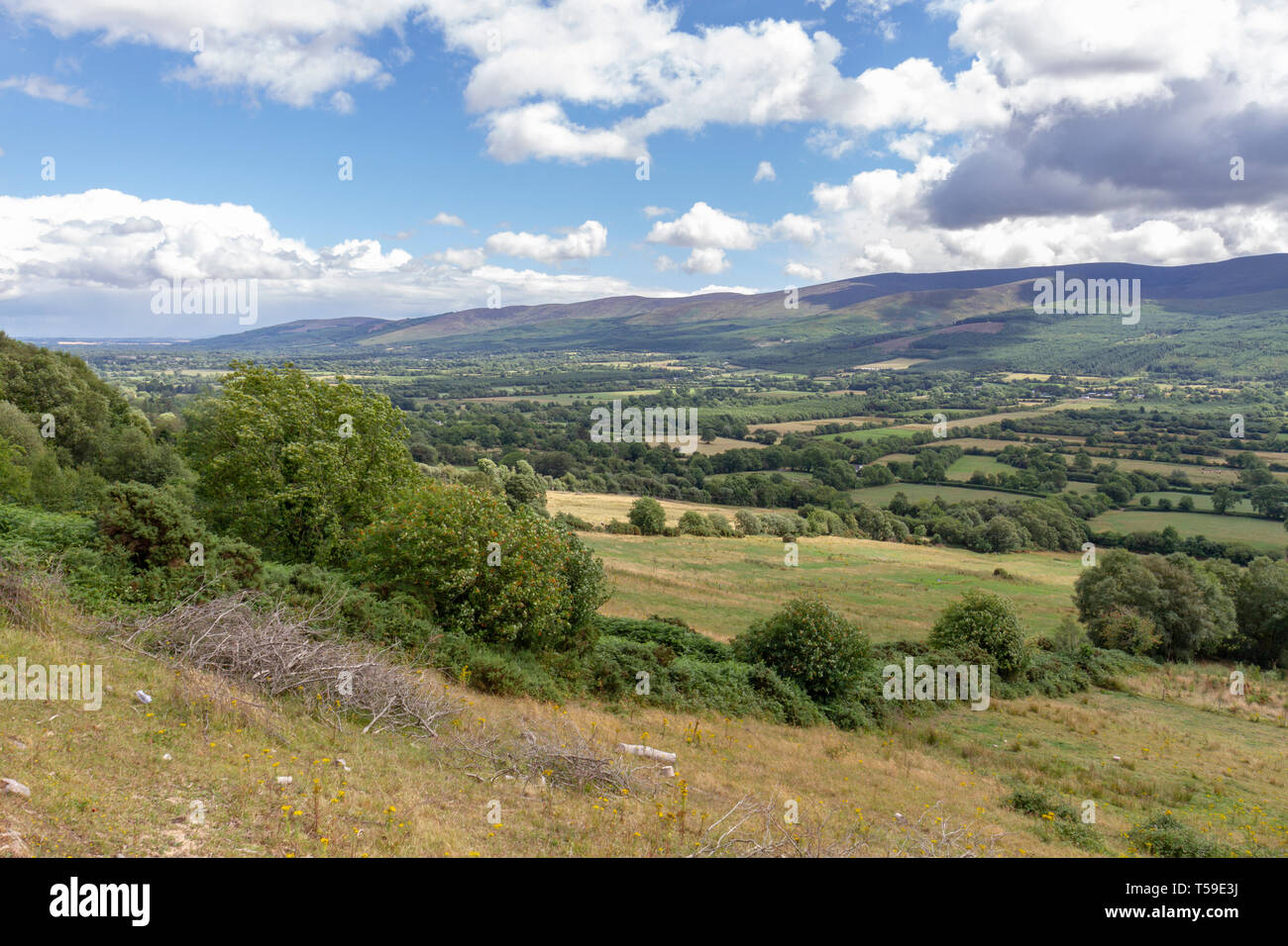 Die atemberaubenden Glen von Aherlow, County Tipperary, Irland. Stockfoto