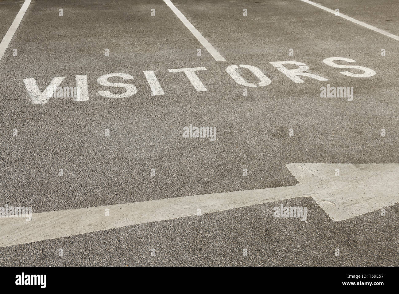 Schriftzug auf Asphalt für Besucherparkplätze lackiert Stockfoto